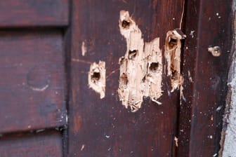Die Tür der Synagoge in Halle zeugt von den Schüssen des rechtsextremen Attentäters.