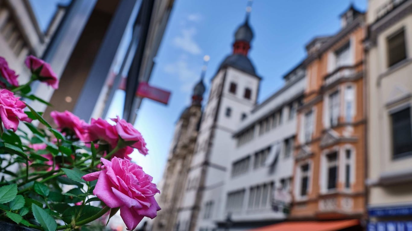Blumen im Vordergrund der Bonner Szenerie: Bonn wurde zur smartesten Stadt in Nordrhein-Westfalen gekürt.
