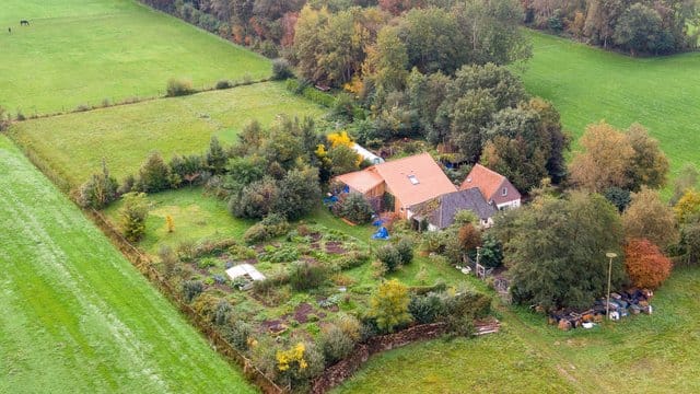 Im Keller dieses abgelegenen Hofes in den Niederlanden soll eine Familie jahrelang gehaust haben.