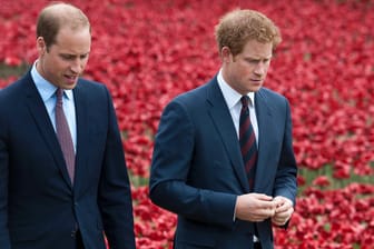 Prinz William und Prinz Harry: Die beiden gehen mittlerweile unterschiedliche Wege.
