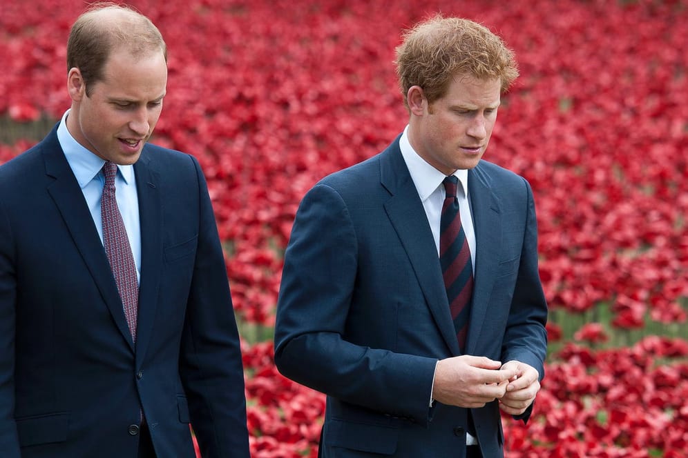 Prinz William und Prinz Harry: Die beiden gehen mittlerweile unterschiedliche Wege.