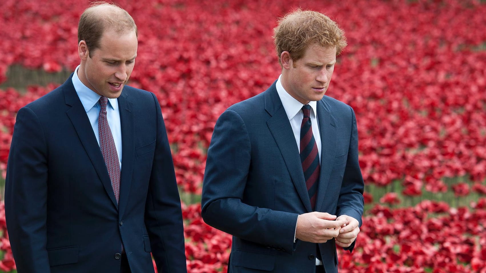 Prinz William und Prinz Harry: Die beiden gehen mittlerweile unterschiedliche Wege.