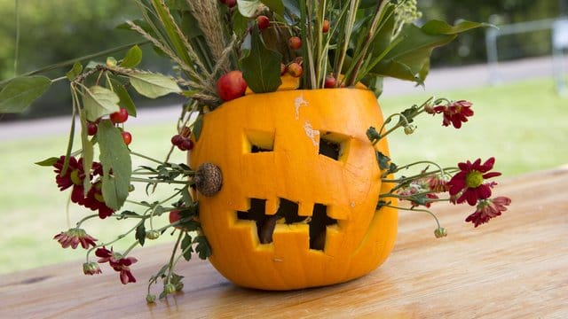 Hingucker an Halloween: Ein ausgehöhlter Kürbis lässt sich gut als Vase für Blumen nutzen.