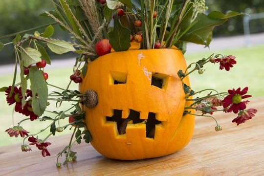 Hingucker an Halloween: Ein ausgehöhlter Kürbis lässt sich gut als Vase für Blumen nutzen.