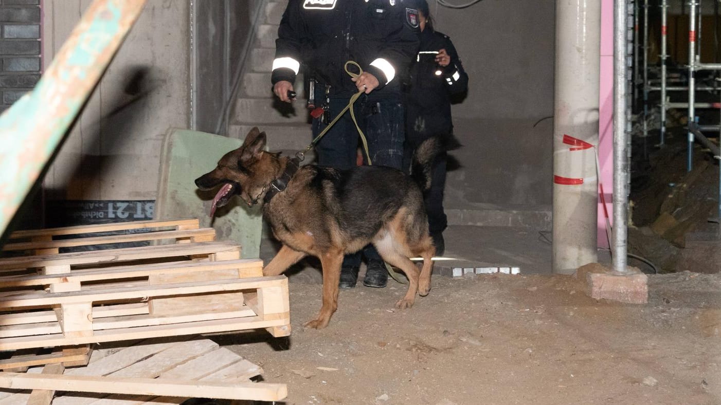 Polizeihund mit Beamten in einem dunklen Raum: In Karlsruhe hat die Polizei zwei Einbrecher gefasst.