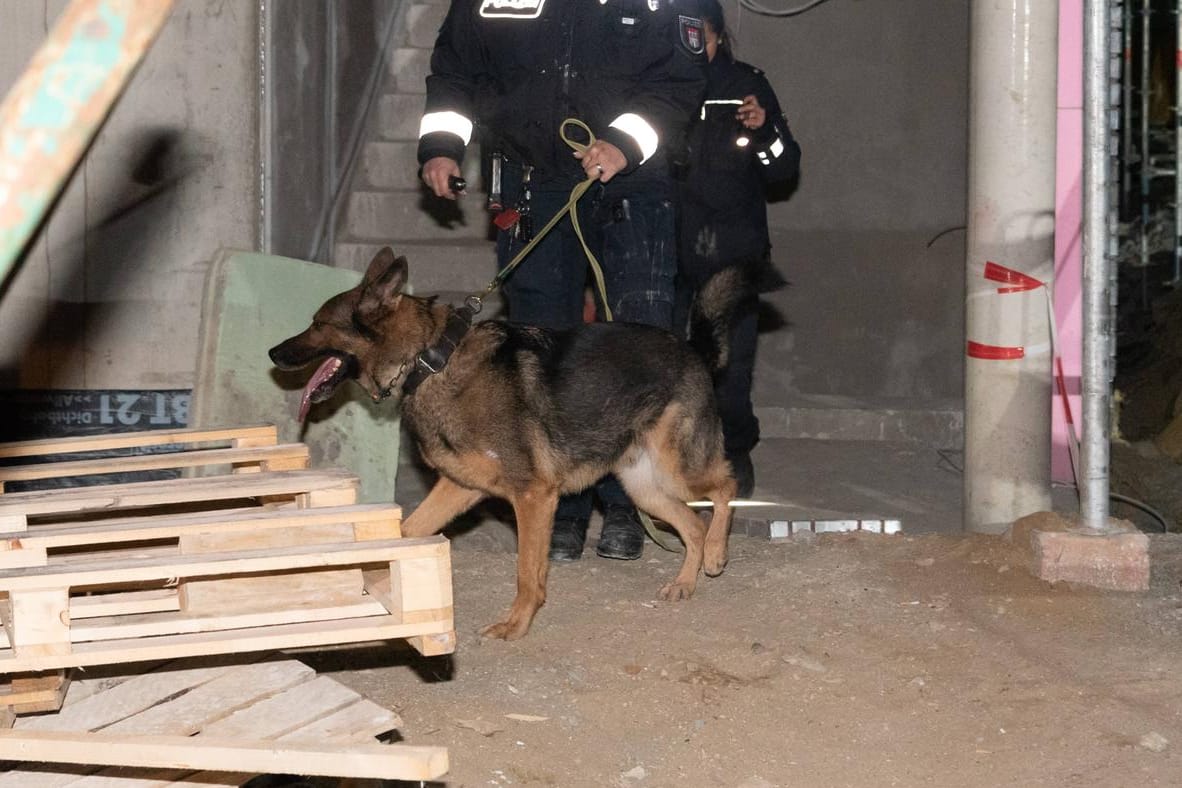 Polizeihund mit Beamten in einem dunklen Raum: In Karlsruhe hat die Polizei zwei Einbrecher gefasst.