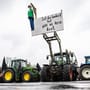 Bundesweite Aktionen geplant: Bauern protestieren - Schulze mahnt mehr Insektenschutz an