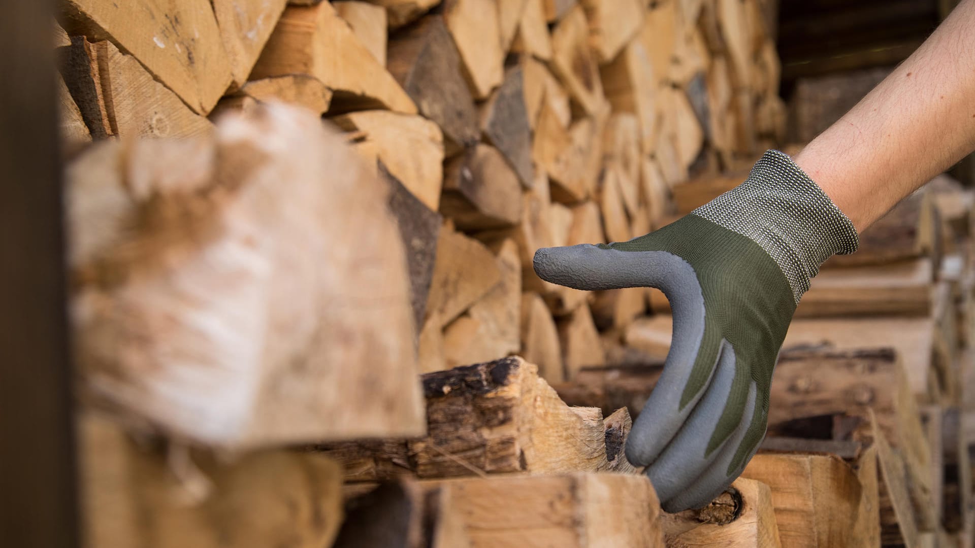 Jemand greift nach einem Holzscheit: Der Durchschnittspreis von Fichtenholz liegt aktuell zwischen 10 und 15 Euro pro Festmeter.