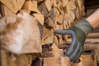Jemand greift nach einem Holzscheit: Der Durchschnittspreis von Fichtenholz liegt aktuell zwischen 10 und 15 Euro pro Festmeter.