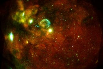 Unsere Nachbargalaxie, die Große Magellansche Wolke (LMC), beobachtet in mehreren Einzelaufnahmen mit allen sieben eROSITA-Teleskopmodulen.