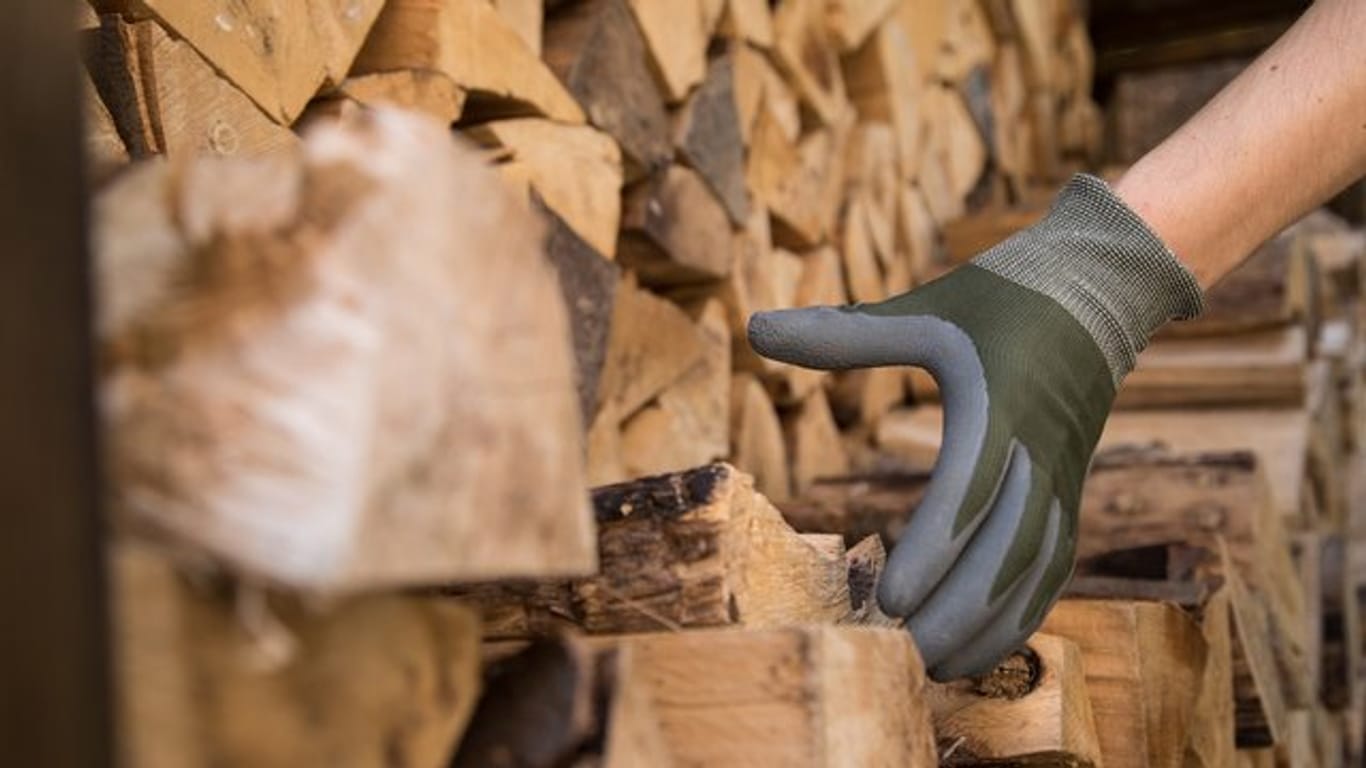 Wer Holznachschub für Kamin und Ofen kaufen möchte, findet derzeit Fichtenholz vielfach zu besonders günstigen Preisen.