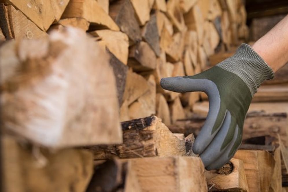 Wer Holznachschub für Kamin und Ofen kaufen möchte, findet derzeit Fichtenholz vielfach zu besonders günstigen Preisen.