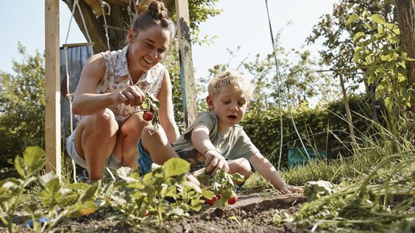 Kinder bevorzugen wilde Gärten, in denen sie sich ausprobieren können - zum Beispiel beim Gärtnern im eigenen Beet.