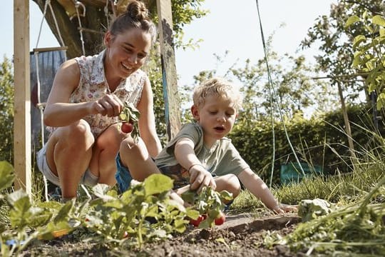 Kinder bevorzugen wilde Gärten, in denen sie sich ausprobieren können - zum Beispiel beim Gärtnern im eigenen Beet.