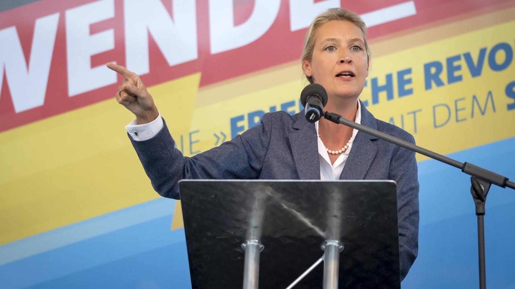 Alice Weidel: Der Kreisverband der Fraktionsvorsitzenden der AfD soll illegale Parteispenden erhalten haben.