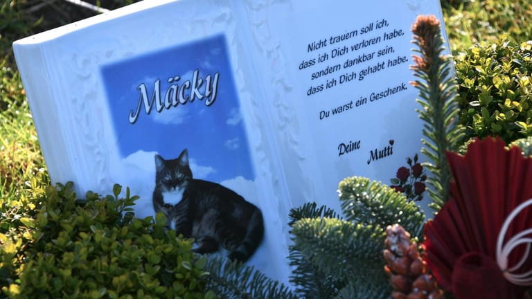 Tiere bestatten Rechte und Pflichten für Halter