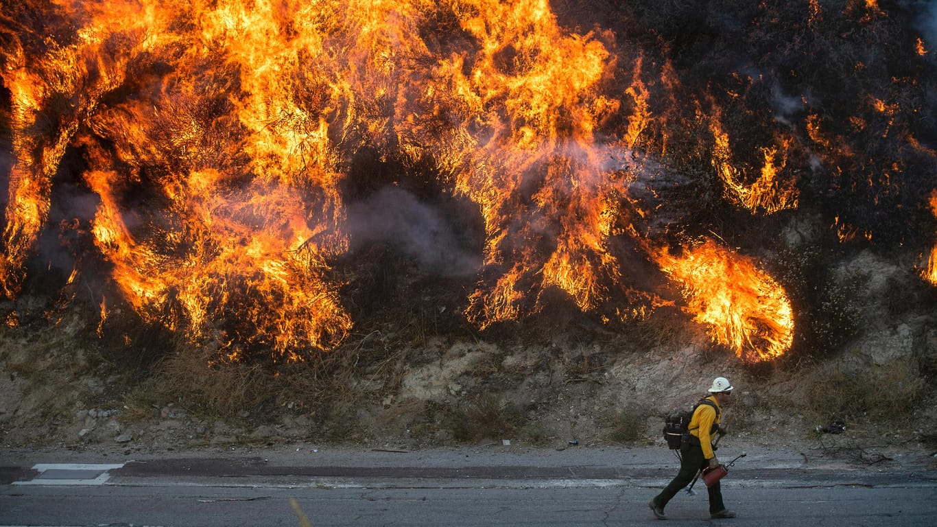 Waldbrände in Kalifornien: Die Flammen breiten sich durch starke Winde weiter aus.