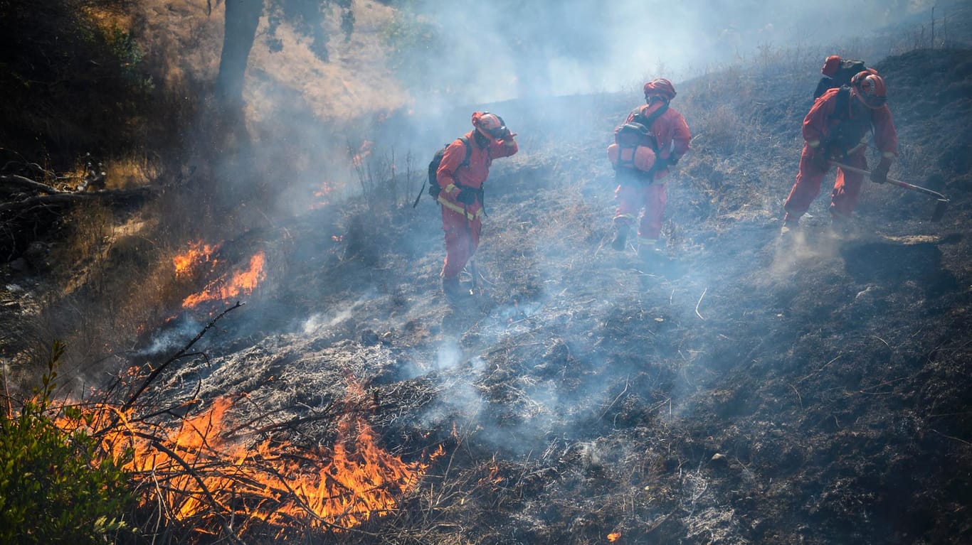 Waldbrand in Sonoma County: Hunderte Feuerwehrleute sind im Einsatz gegen die Flammen.