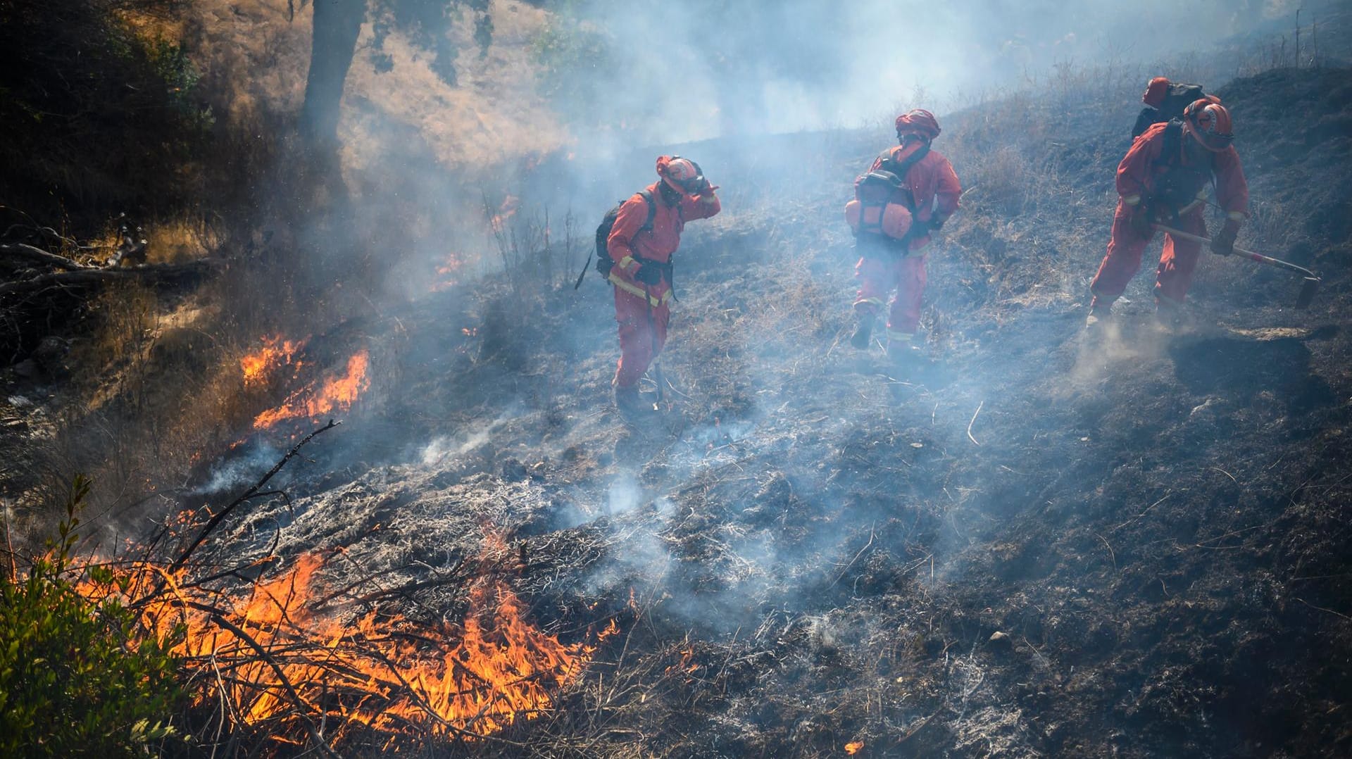 Waldbrand in Sonoma County: Hunderte Feuerwehrleute sind im Einsatz gegen die Flammen. Waldbrand in Sonoma County: Hunderte Feuerwehrleute sind im Einsatz gegen die Flammen.