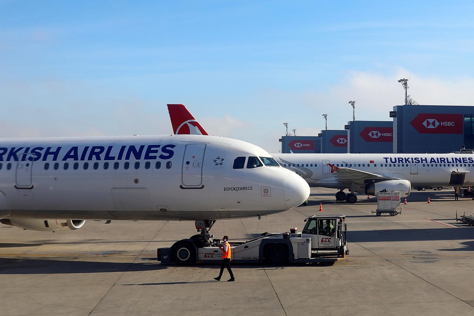 Ein Flugzeug von Turkish Airlines: Am Freitag legten Demonstranten die Schalter in Frankfurt und Hamburg lahm.