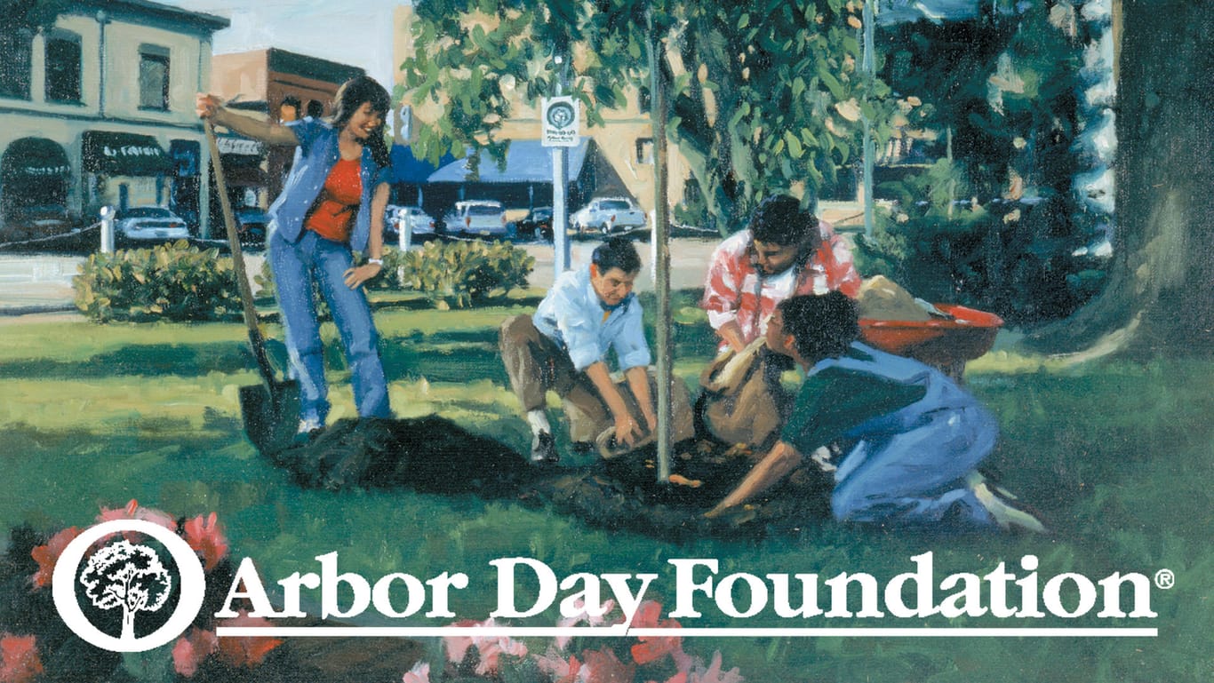 Werbeplakat der Arbor Day Foundation: Die Organisation bekommt zur Zeit durch sogenannte Influencer große Aufmerksamkeit im Internet.