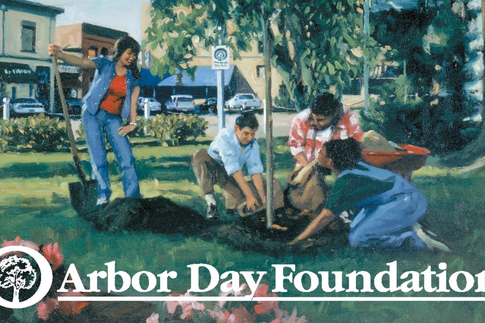 Werbeplakat der Arbor Day Foundation: Die Organisation bekommt zur Zeit durch sogenannte Influencer große Aufmerksamkeit im Internet.