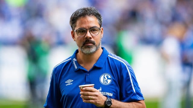 Schalke-Trainer David Wagner.