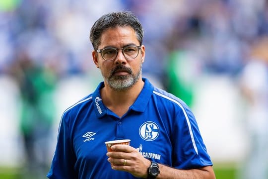 Schalke-Trainer David Wagner.