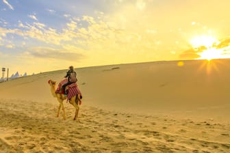 Wüstenritt auf einem Kamel: Saudi-Arabien besteht zu einem Großteil aus Wüstenregionen. Auch die größte Wüste der Erde Rub al-Chali bedeckt das Land.