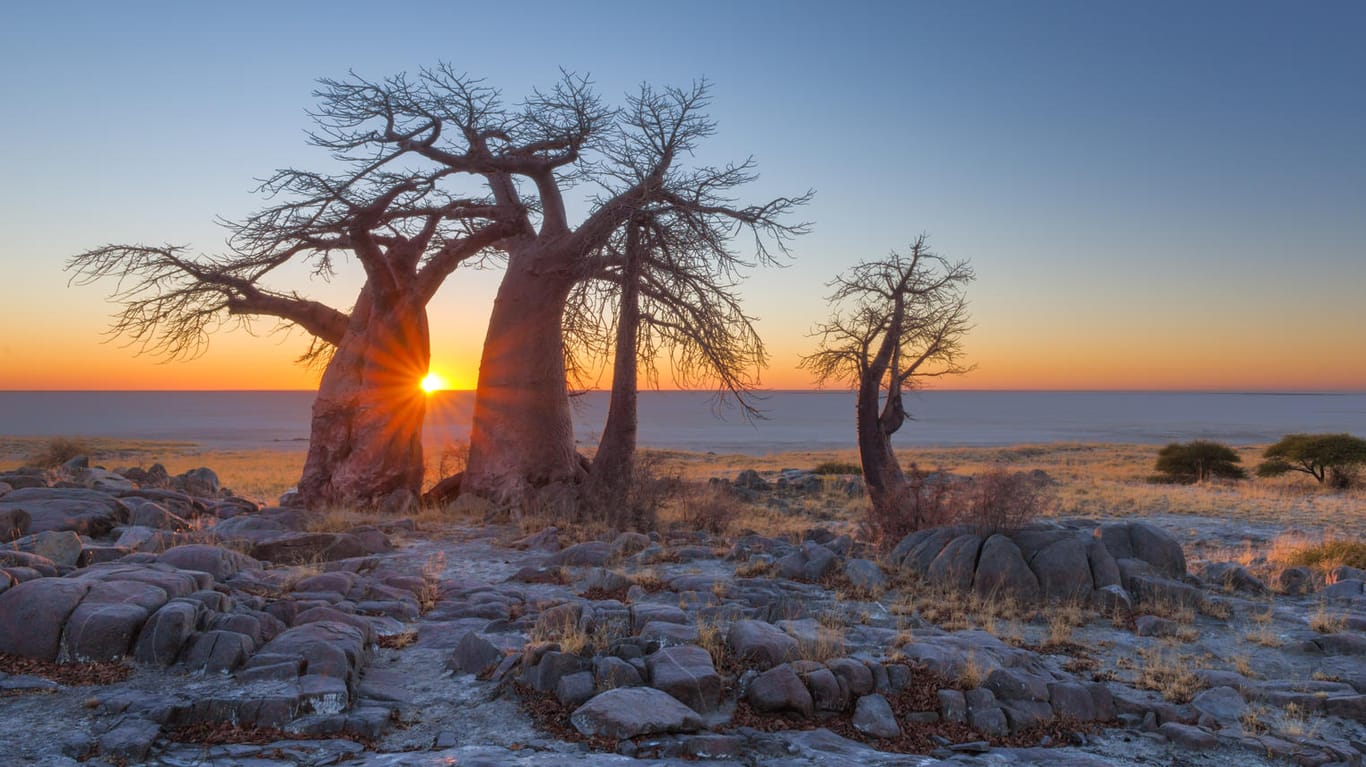 Ein Sonnenaufgang in Botswana: Das Klima in dem afrikanischen Land war einmal deutlich feuchter als Heute.