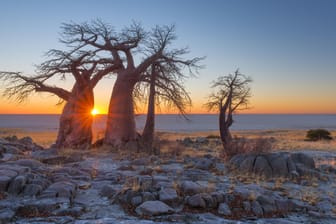 Ein Sonnenaufgang in Botswana: Das Klima in dem afrikanischen Land war einmal deutlich feuchter als Heute.