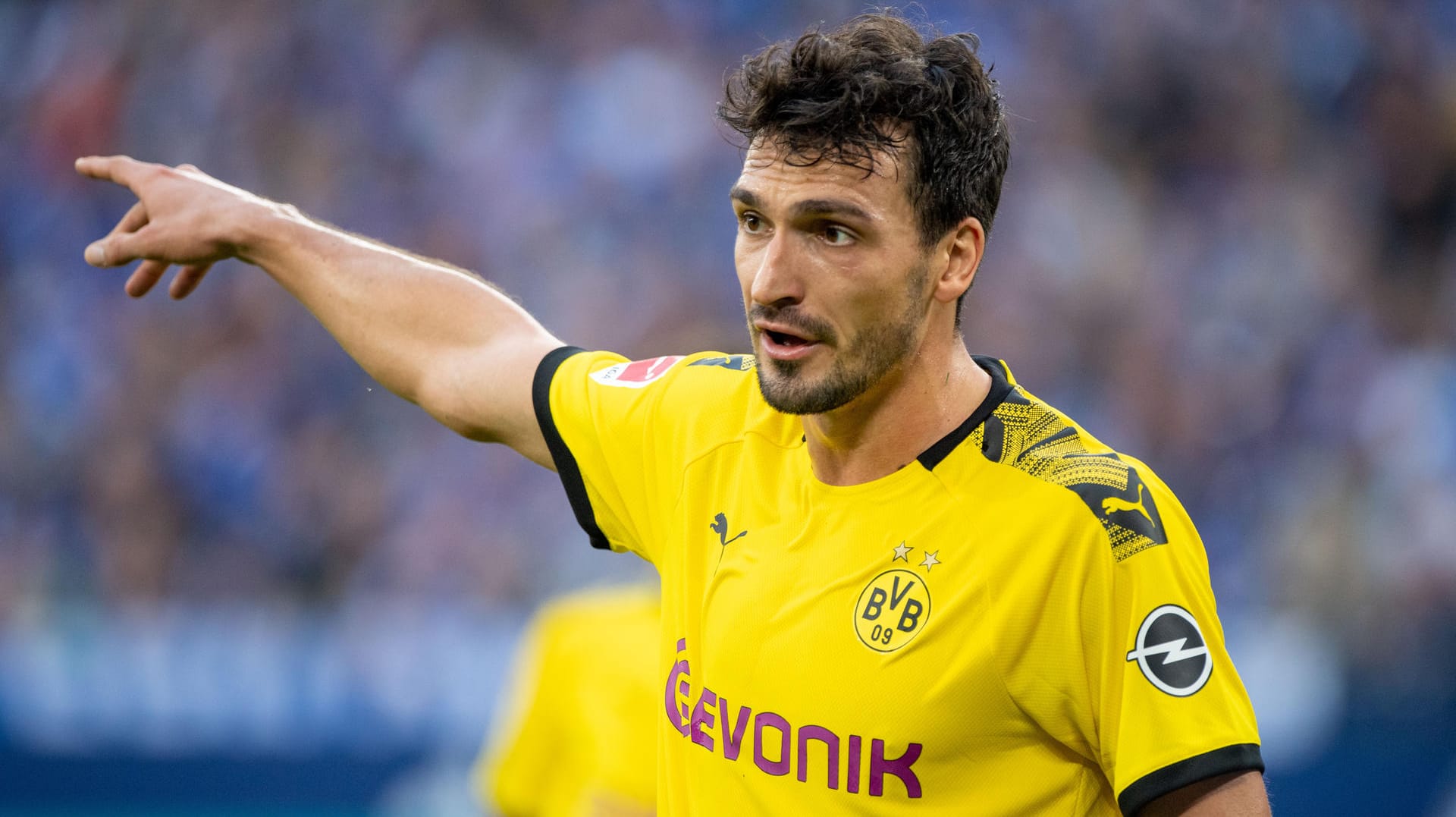 Wegen der Ansteckungsgefahr: Die Dortmunder Profis (hier Mats Hummels) sollen sich angeblich aktuell nicht die Hand geben.