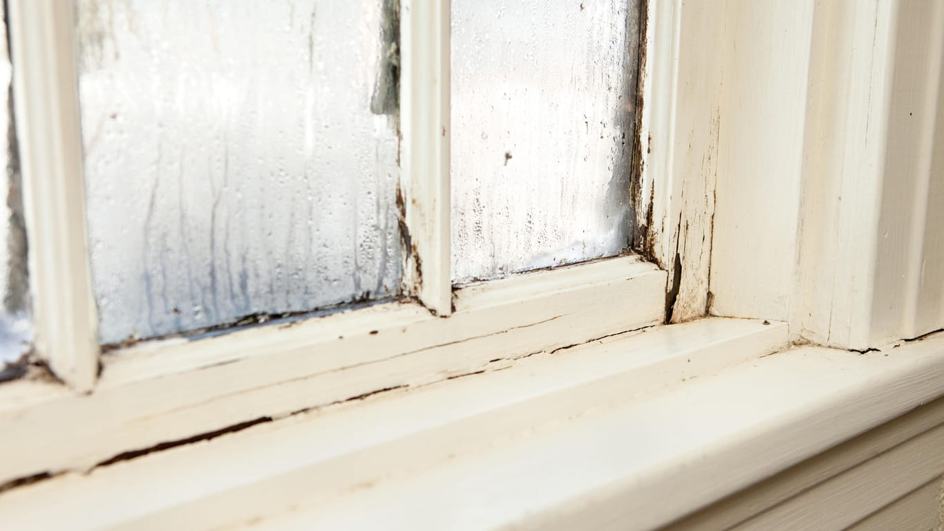 Altes Fenster: Wenn Fenster und Türen defekt sind, muss sich teilweise der Mieter darum kümmern.