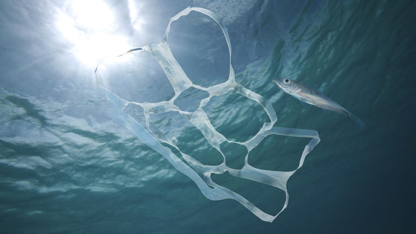Plastikmüll treibt im Wasser: China wies die globale Verantwortung für die Verschmutzung der Meere von sich. (Symbolbild)