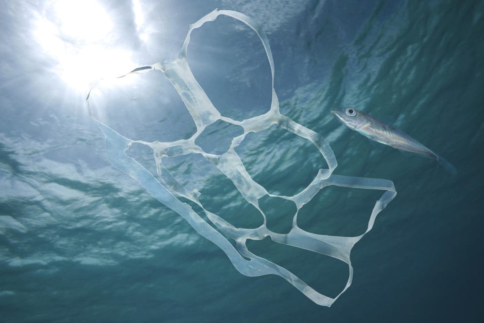Plastikmüll treibt im Wasser: China wies die globale Verantwortung für die Verschmutzung der Meere von sich. (Symbolbild)