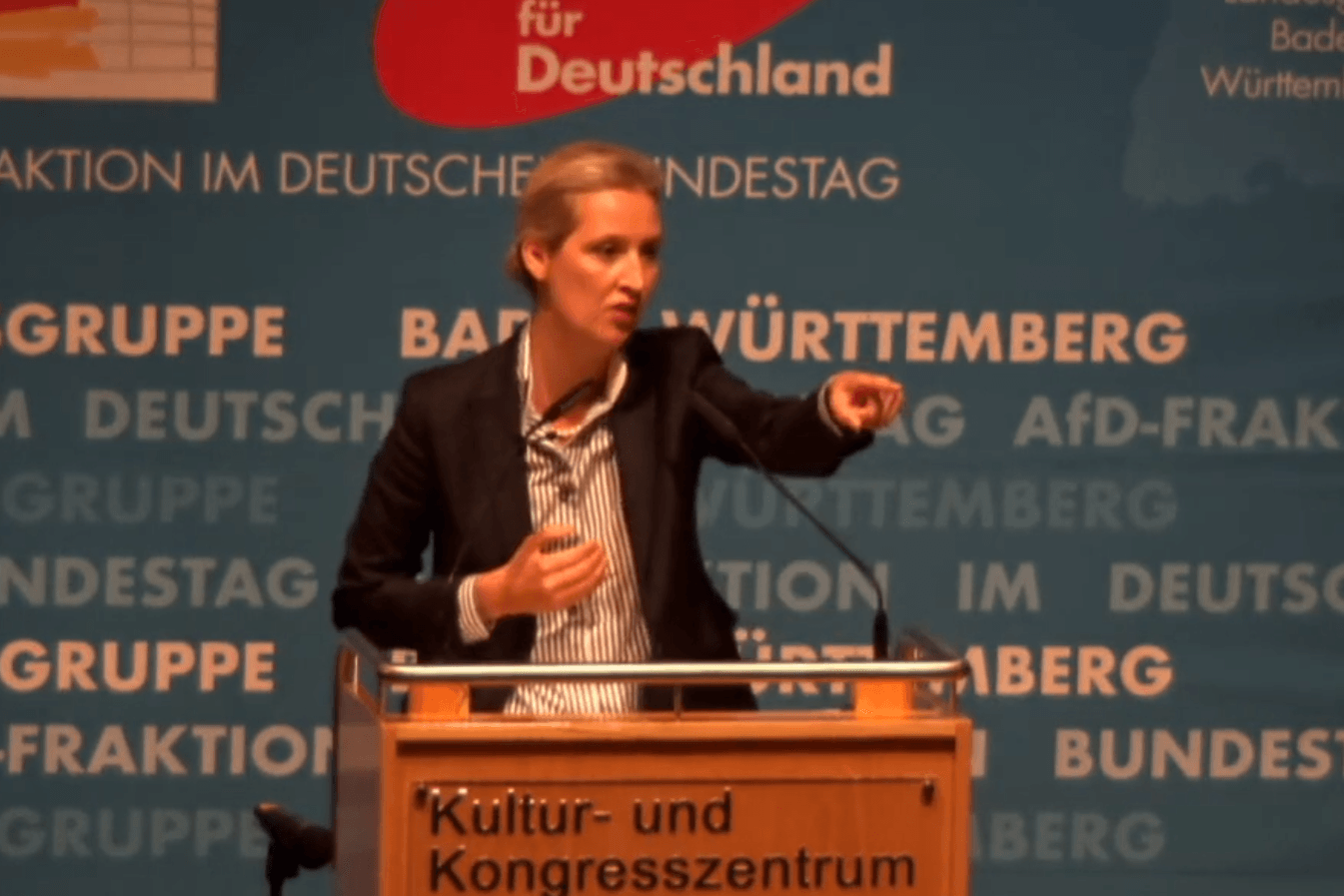 Alice Weidel unterbricht ihre Rede: t-online.de dokumentiert die Wutansprache nach der missverständlichen Geste eines Zuhörers.