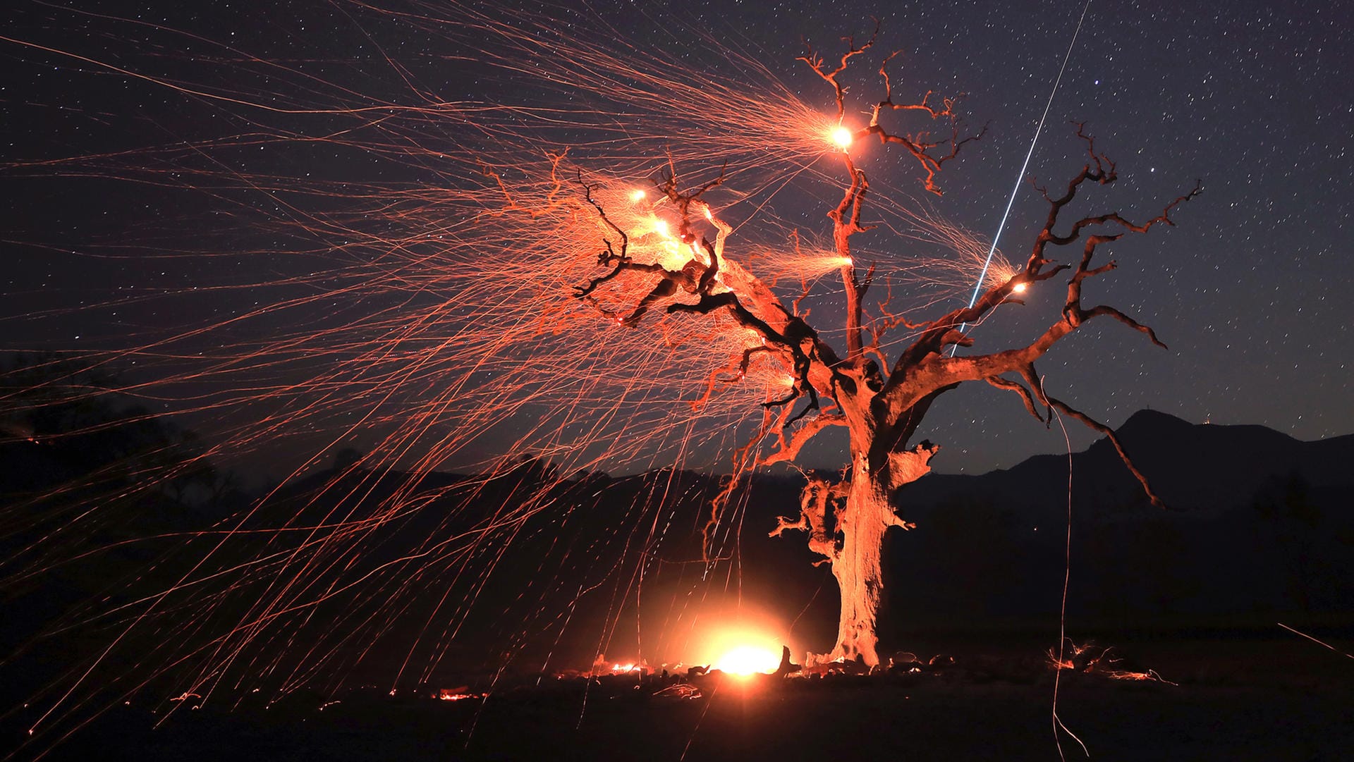 Winde fachen die Glut einer verbrannten Eiche unter einem Sternenhimmel an: Zehntausende Menschen sind bereits vor den Flammen geflohen. Winde fachen die Glut einer verbrannten Eiche unter einem Sternenhimmel an: Zehntausende Menschen sind bereits vor den Flammen geflohen.