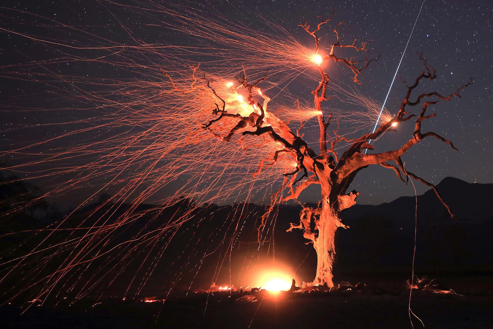 Winde fachen die Glut einer verbrannten Eiche unter einem Sternenhimmel an: Zehntausende Menschen sind bereits vor den Flammen geflohen.
