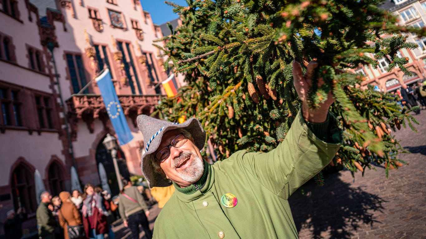 Eberhard Eisentraud steht als Spessarträuber verkleidet neben dem diesjährigen Frankfurter Weihnachtsbaum: Der 31 Meter hohe Baum steht auf dem Römerberg.