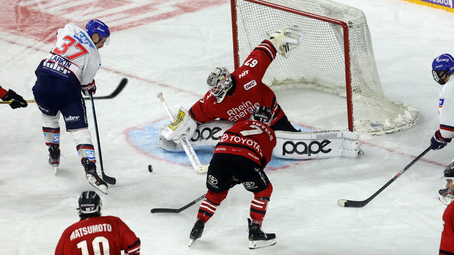 Hannibal Weitzmann von den Kölner Haien: Der Keeper zeigte gegen die Adler Mannheim einige tolle Paraden.