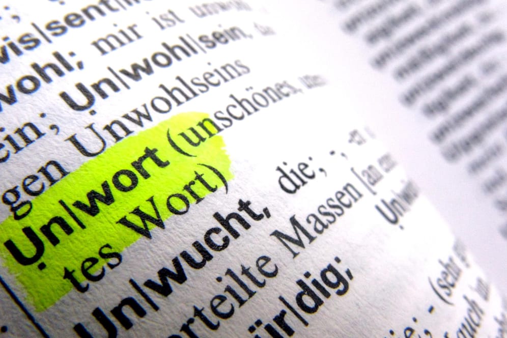 Das Wort "Unwort" in einem Wörterbuch: Mittlerweile sind bei der Jury zur Wahl des Unwortes über 200 Vorschläge eingegangen.