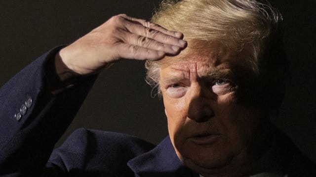 US-Präsident Donald Trump soll sich im Wahlkampf 2016 für E-Mails der Demokraten im Besitz von Wikileaks interessiert haben. US-Präsident Donald Trump soll sich im Wahlkampf 2016 für E-Mails der Demokraten im Besitz von Wikileaks interessiert haben.