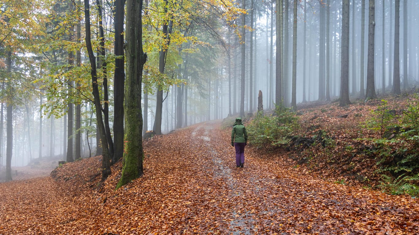 Spaziergängerin im verregneten Wald an der Altenhöfe im Taunus: Der Montag startet fast überall in Deutschland wechselhaft mit schauerartigem Regen. (Symbolfoto)