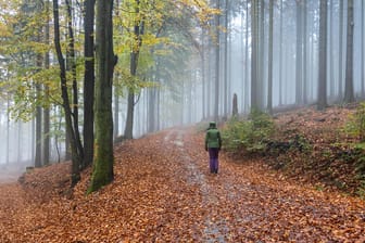 Spaziergängerin im verregneten Wald an der Altenhöfe im Taunus: Der Montag startet fast überall in Deutschland wechselhaft mit schauerartigem Regen. (Symbolfoto)