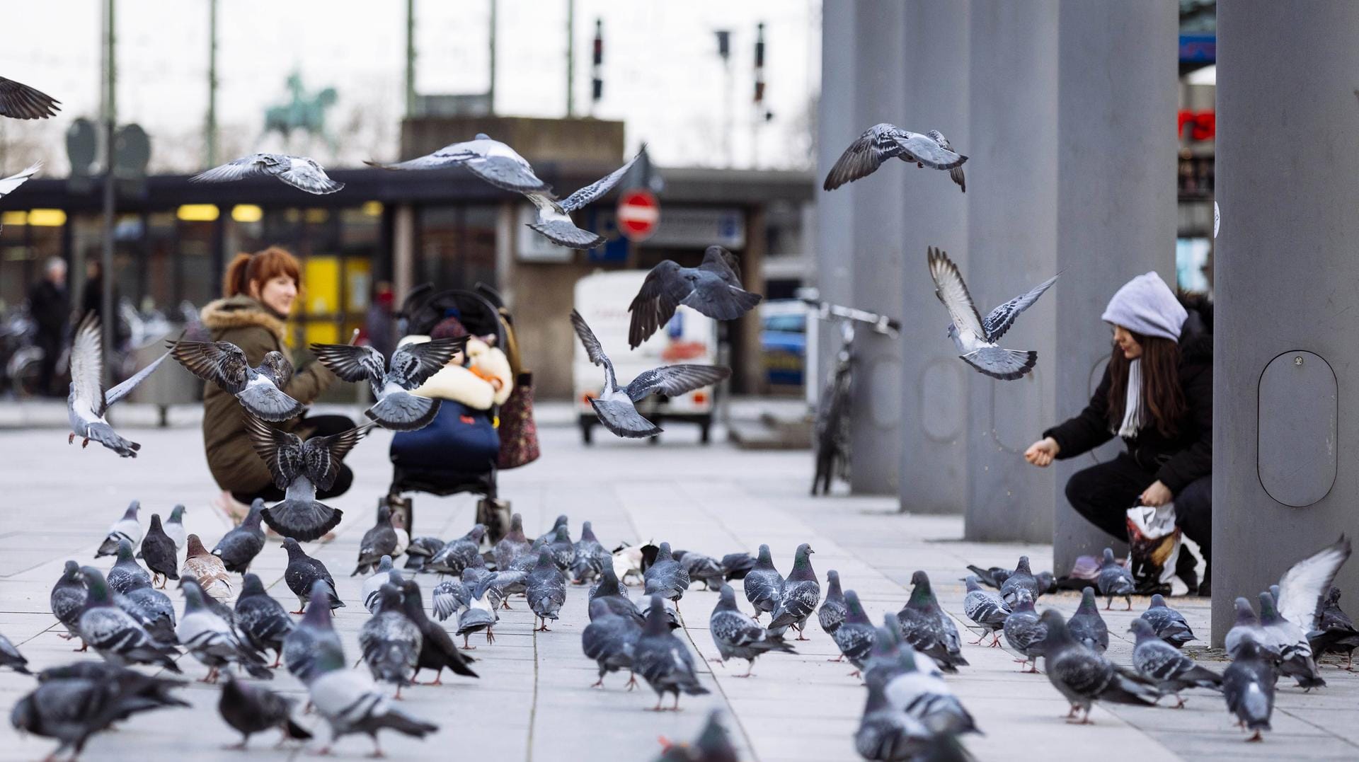 Tauben werden am Breslauer Platz hinter dem Kölner Hauptbahnhof gefüttert. Tauben werden am Breslauer Platz hinter dem Kölner Hauptbahnhof gefüttert.