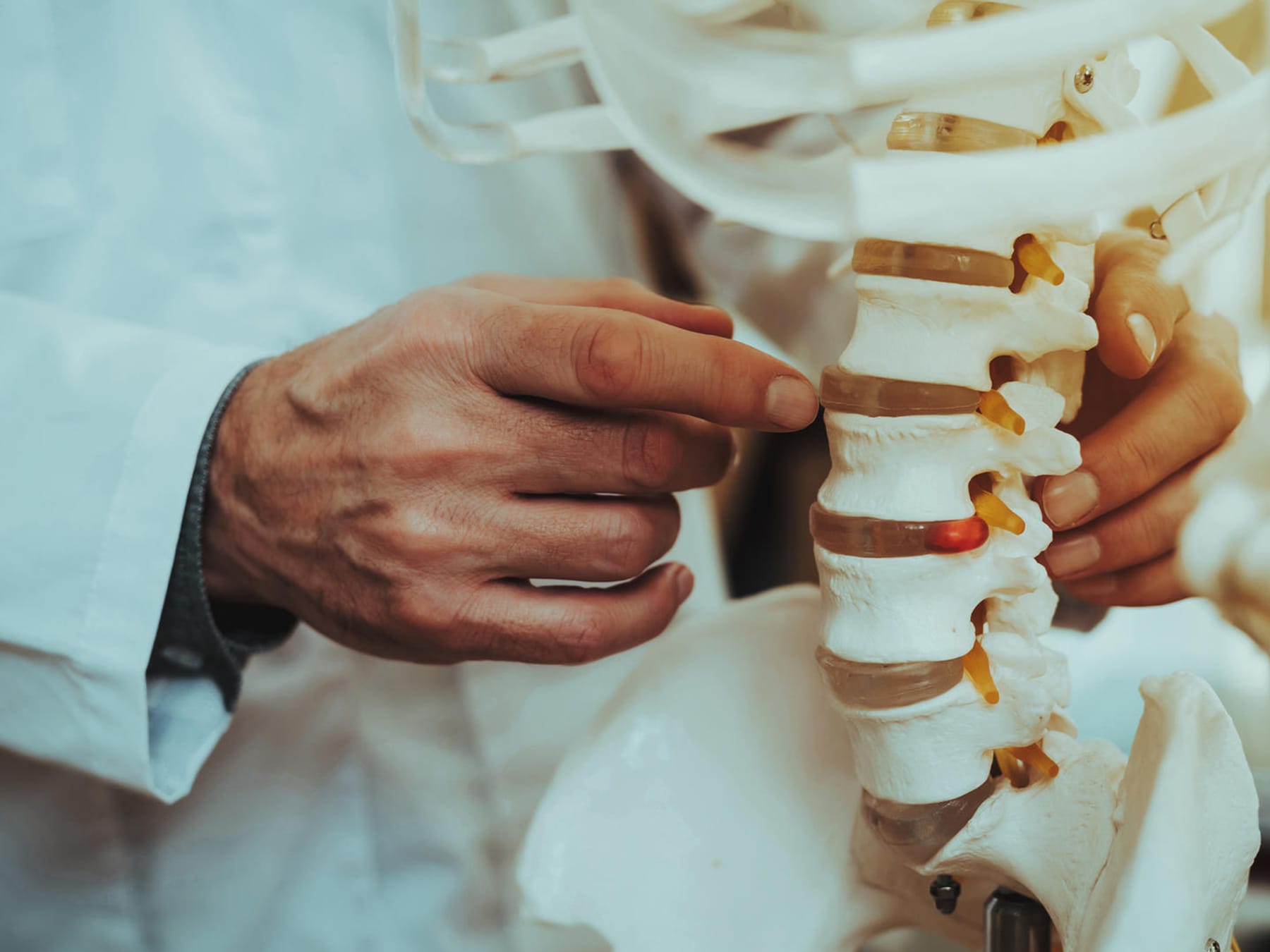 Knochen-Fakten: Gibt es Menschen mit schweren Knochen?