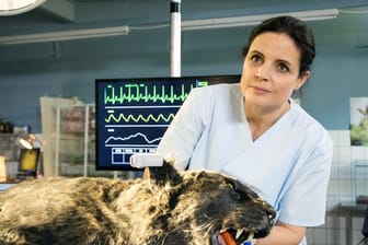 Kann Tierärztin Susanne Mertens (Elisabeth Lanz) den schwarzen Panther retten kann?.