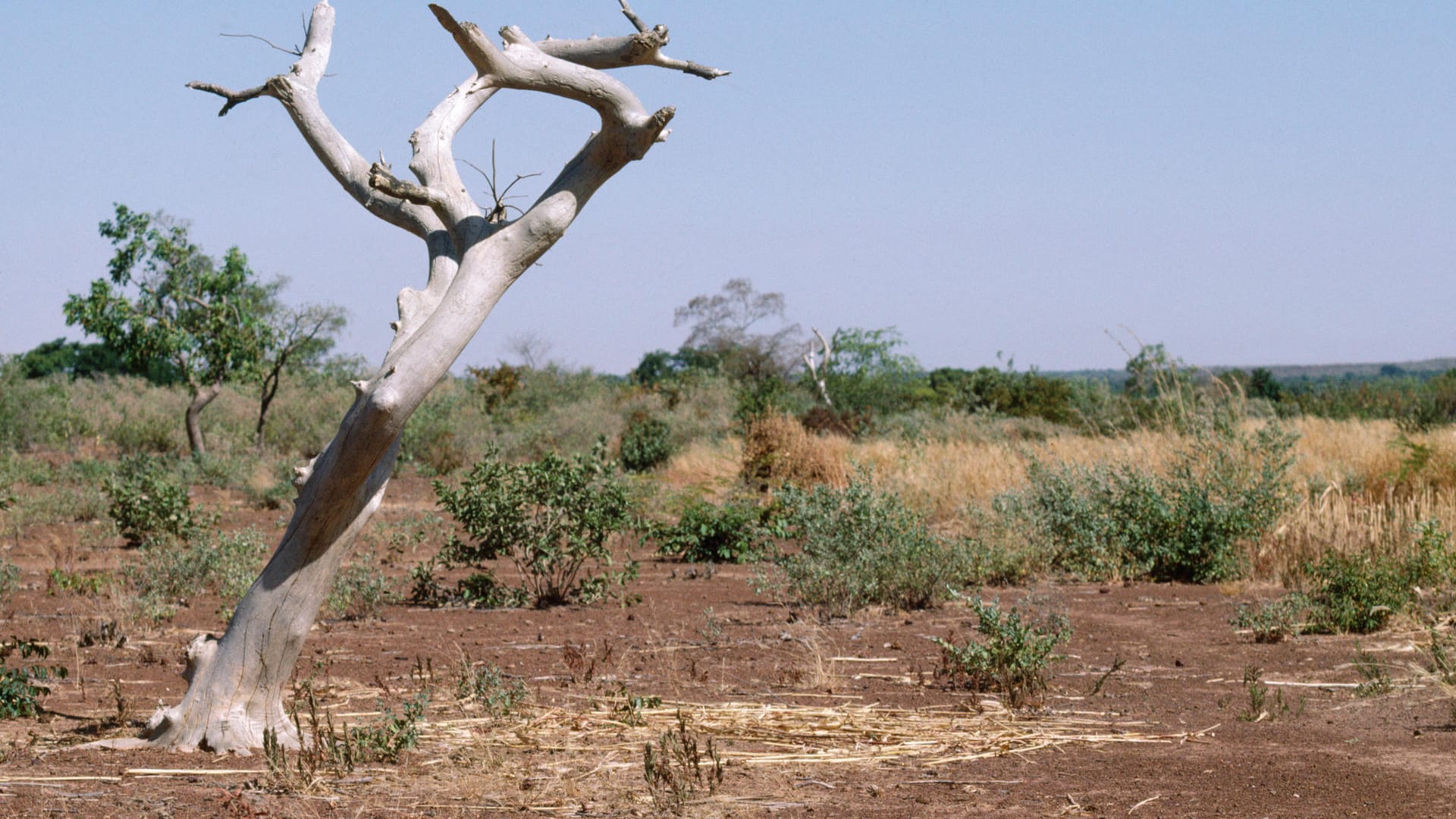 Burkina Faso (Symbolbild): Das Land gehört zu den ärmsten der Welt.