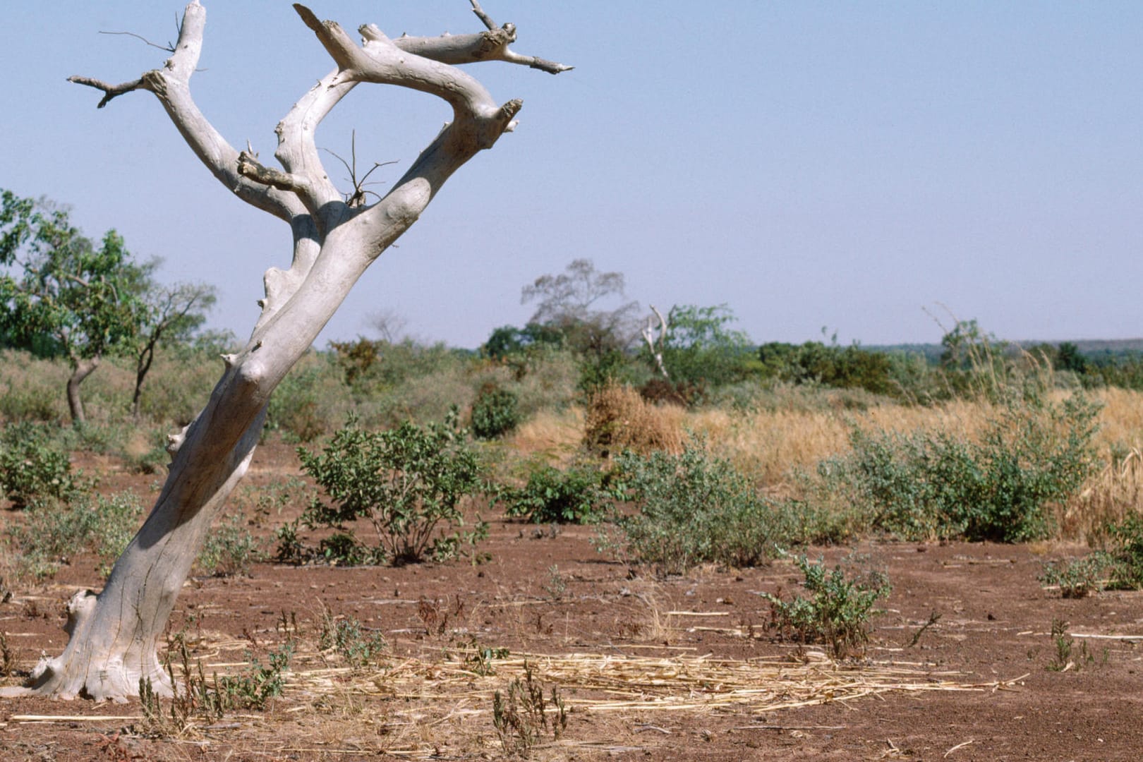 Burkina Faso (Symbolbild): Das Land gehört zu den ärmsten der Welt.