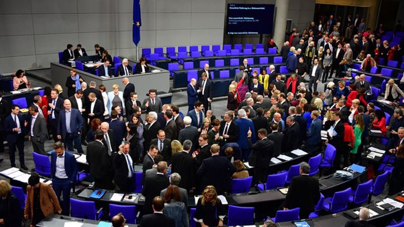 Abgeordnete während der ersten namentlichen Abstimmung zu einem Änderungsantrag der FDP.